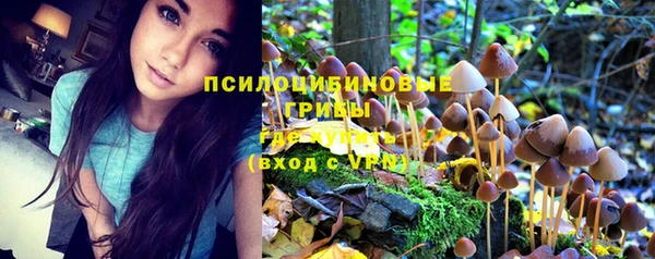 экстази Алексеевка