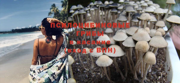 ALPHA-PVP Алексин